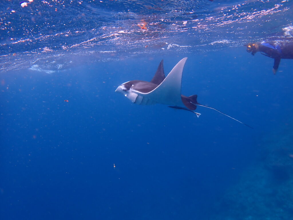 0162395c88ec1ae424c2b6da4ef9eefedb3b0c85aa