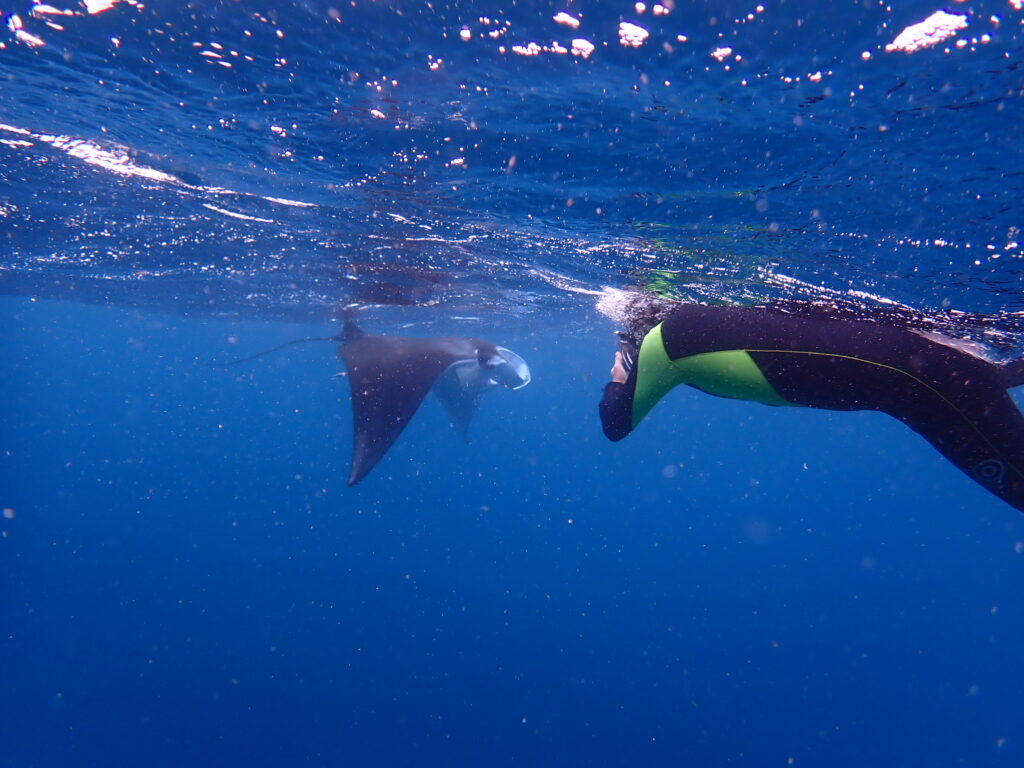 0169375db6741830f58a6c8dc51a54da449ac9a2f9