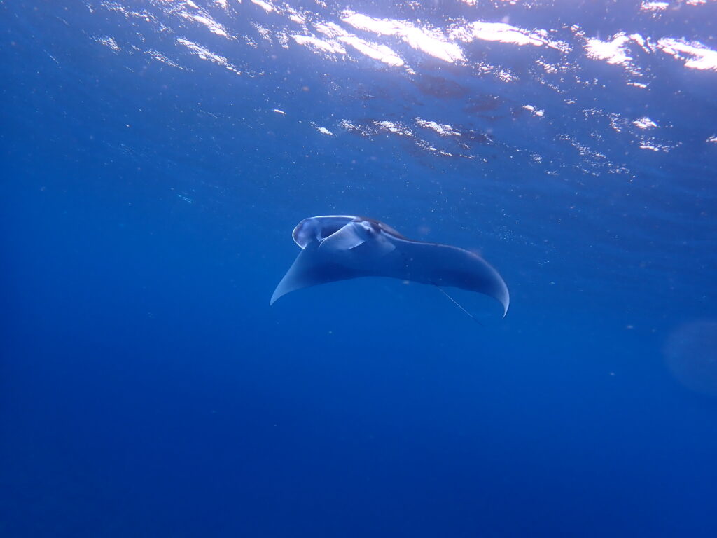 01a7d618a7c04a00e53ea0cdb6c012fd8530cc3ff6