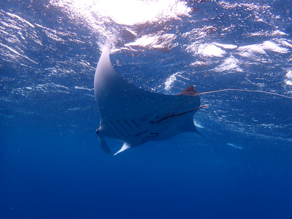 01a809ede9e9de57494b7d6ead5953e097c0440192