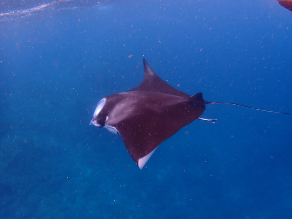 01e6fc52757b545b792e162cf83d8656105bde1c91